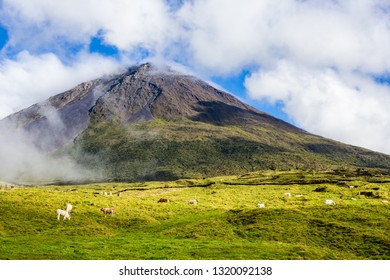 View of Pico mountain in Pico Island, Azores, Portugal