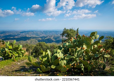 View from Picota near Monchique in Algarve, Portugal, into the valley of Serra de Monchique.