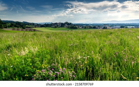 A view of the picturesque and historic town of Avenches with a wildflower meadow in the foreground - Powered by Shutterstock