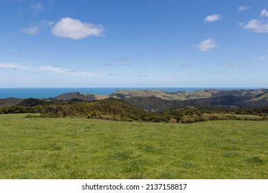 The view of picturesque landscape with green grass, hills and blue sea on background, Pae O Te Rangi farm track, New Zealand.