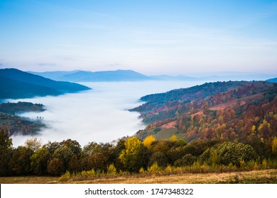 View of picturesque mountain valley with blue sky on background. Magnificent highlands with colorful trees and hills covered with dense fog. Concept of nature and rolling hills.