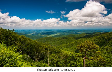 View Of Piedmont From Skyline Drive In Shenandoah National Park, Virginia.