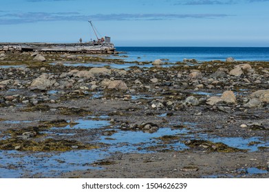 View Of The Pier Of The Village Of Kelp Algae Harvesters In The White Sea