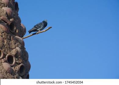 View Of Pigeons In The Pigeon Tower In Anaphora Monastery Egypt.