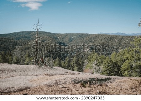 View of Pike National Forest mountains granite rock slab and pine trees near Sedalia Colorado