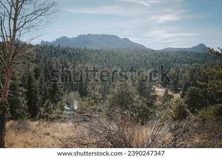 View of Pike National Forest mountains and pine trees near Sedalia Colorado