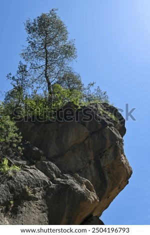 Similar – Image, Stock Photo Pine Growing On Rocky Slope Of Mountains. First Snow And Snowfall Over Rocks And Forest Winter Nature Landscape