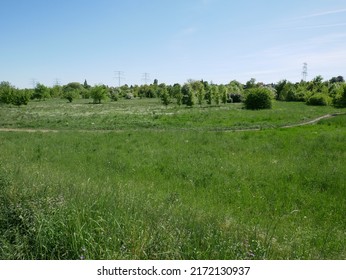 6,941 Green wasteland Images, Stock Photos & Vectors | Shutterstock