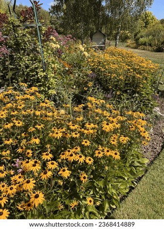 A view of the planted beds and borders of Merriments Gardens, East Sussex