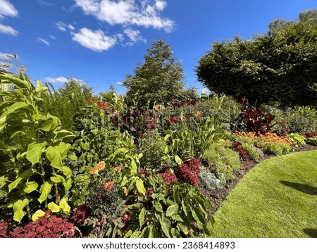 A view of the planted beds and borders of Merriments Gardens, East Sussex