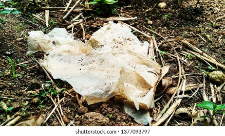 a view of plastic wrap pollution on the ground 