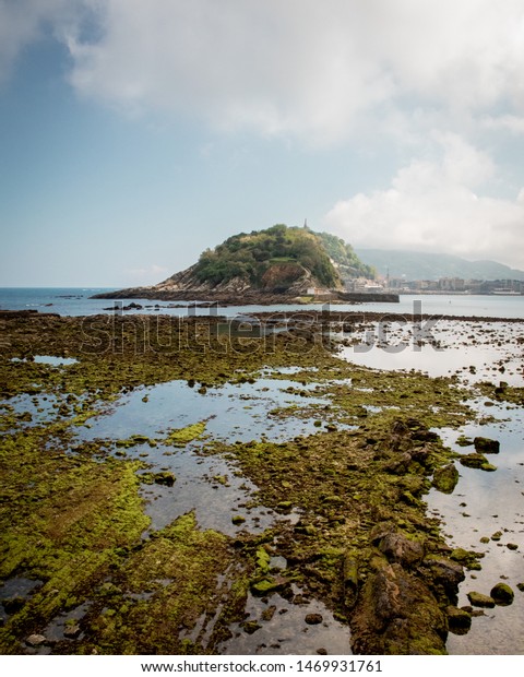 View Playa De La Concha La Animals Wildlife Nature Stock Image