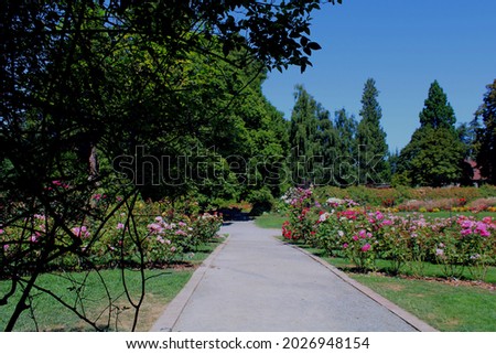 A view from the Point Defiance Park rose garden gazebo.  The rose garden is situated next to the Dahlia Trial Garden and smells absolutely divine!