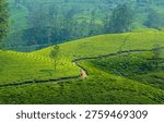 View Point - Munnar Gap Road, Kochi-Dhanushkodi Highway, NH 85, Idukki, Kerala, South India, Western Ghats.