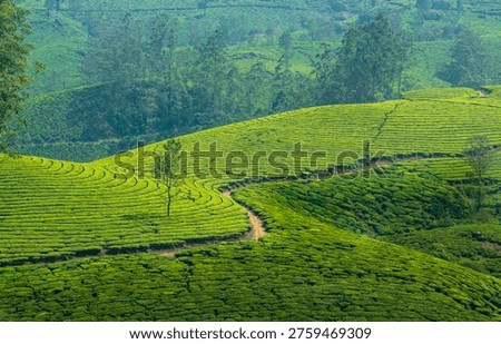 View Point - Munnar Gap Road, Kochi-Dhanushkodi Highway, NH 85, Idukki, Kerala, South India, Western Ghats.