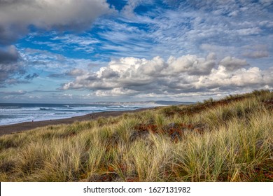 A View From Point Reyes National Seashore