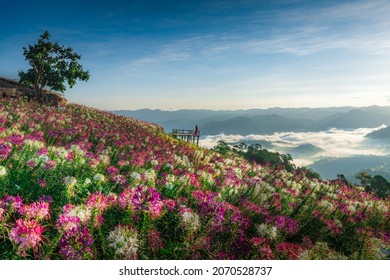 View point of the sea of mist and flower garden in Mae Sot District, Tak Province, Thailand