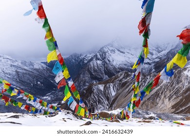 View point of the trekking peak Tsergo Ri ,Chergori in the Langtang valley, Nepal. 