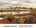View of a pond and beaver lodge in autumn at Kuhnen Park in Lacombe County, Alberta, Canada