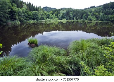 View Of Pond Near The Locality Tauern In The Municipality Ossiach, District Feldkirchen, Carinthia, Austria