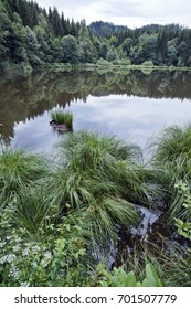 View Of Pond Near The Locality Tauern In The Municipality Ossiach, District Feldkirchen, Carinthia, Austria