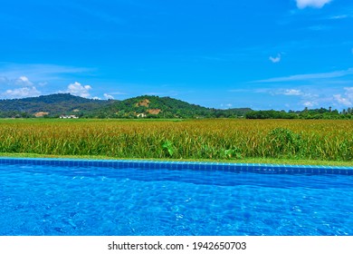 The View From The Pool To The Field And Mountains. Swimming Pool In An Unusual Location.