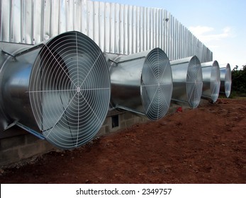 View Of A Poultry House Fans