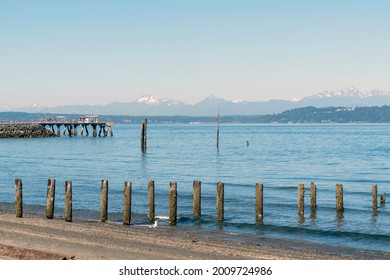 View of Puget Sound between the city of Edmonds in Washington State and Olympic Mountains on the peninsula in the west. Low tide reveals encrusted wood pillars standing along the beach.