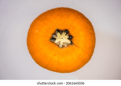 View Of A Pumpkin On A White Background From Above