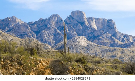 View of Pusch Ridge Peak in Arizona's Santa Catalina Mountains, near Oro Valley and Tucson, with a cacti and other desert plants in view, in spring of 2023. (In Catalina State Park)