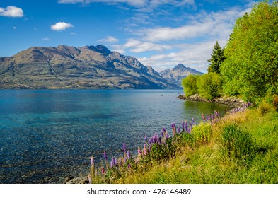 View From Queenstown Gardens