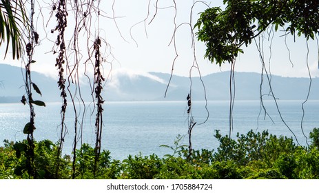 View Of A Quiet Beach Behind A Frame Of Trees, Leaves And Lianas. A Secret Beach In Myanmar With No Access By Car