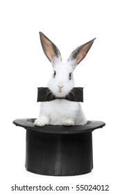 A View Of A Rabbit With Bow Tie In A Hat Isolated On White Background