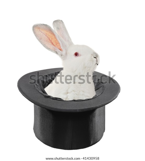 View Rabbit Top Hat Isolated On Stock Photo (Edit Now) 41430958