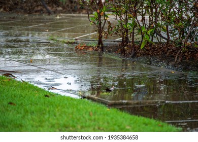 View Of Rain In The Garden