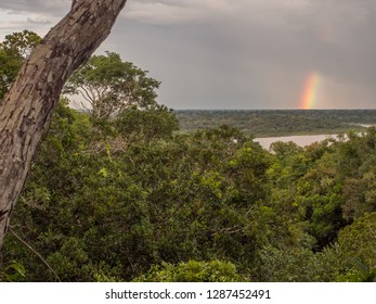 View For The Rainbow Over The Amazon Jungle. Latin America. Brazil. Peru