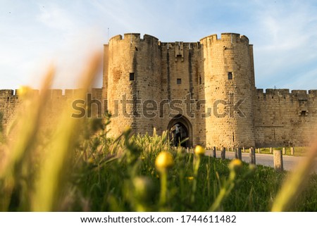 View of the ramparts and one of the fortified gates of the medieval town of Aigues-Mortes through the tall grass (Occitanie, France)
