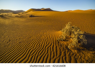 View of red dunes in  in the Namib Desert, in Sossusvlei, in the Namib-Naukluft National Park of Namibia - Shutterstock ID 421616608