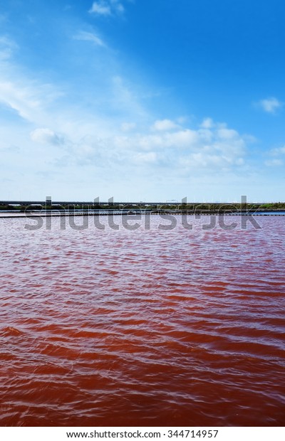 View of red water in a micro algae nursery of a large\
salina 