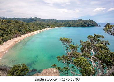 View of remote, picturesque New Chums Beach, Coromandel Peninsula, New Zealand - Shutterstock ID 1671433708