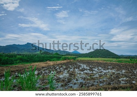 Similar – Image, Stock Photo Vast rice fields vast