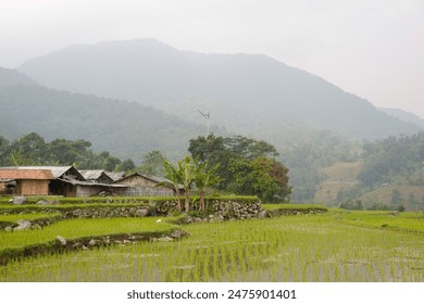 view of rice fields with several rural farmer's houses nearby with misty mountains in the background - Powered by Shutterstock