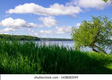 View To Rice Lake, Ontario Canada