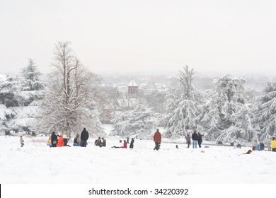 View In Richmond Park London After Heaviest Snow In 20 Years