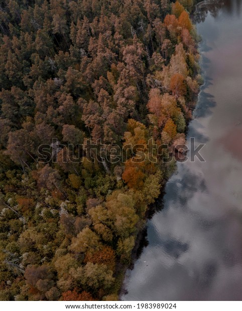 View of the river in the autumn\
forest from above. Beautiful panoramic view of the wildlife.\
Shooting from a drone. Design of wallpapers, screensavers,\
covers.