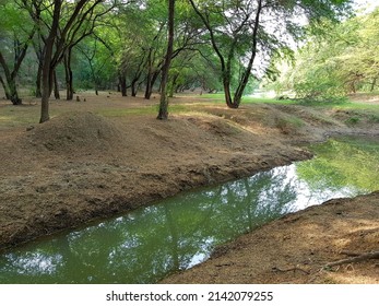 A View Of A River Branch In Kasur A City Of Punjab Pakistan.