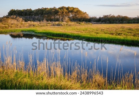 View of a River at Chincoteague National Wildlife Refuge in Virginia, USA
