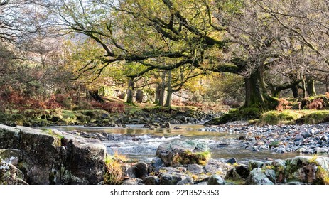 A View Up The River Esk In The Autumn