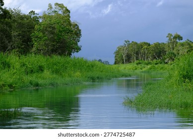 The view of the river with a forest background and a cloudy sky feels refreshing