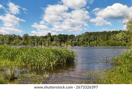 View of the river. Riverscape
